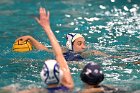 WWPolo @ CC  Wheaton College Women’s Water Polo at Connecticut College. - Photo By: KEITH NORDSTROM : Wheaton, water polo